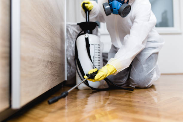 Flea Control Services in Lakeview, GA