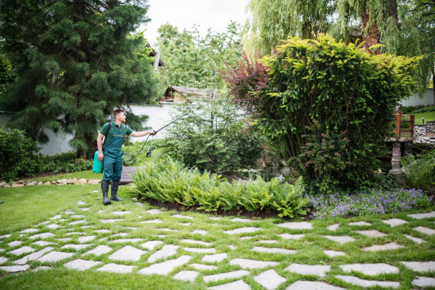 Best Best Pest Control Companies  in Lakeview, GA