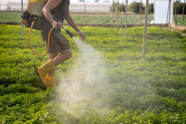 Professional Pest Control in Lakeview, GA