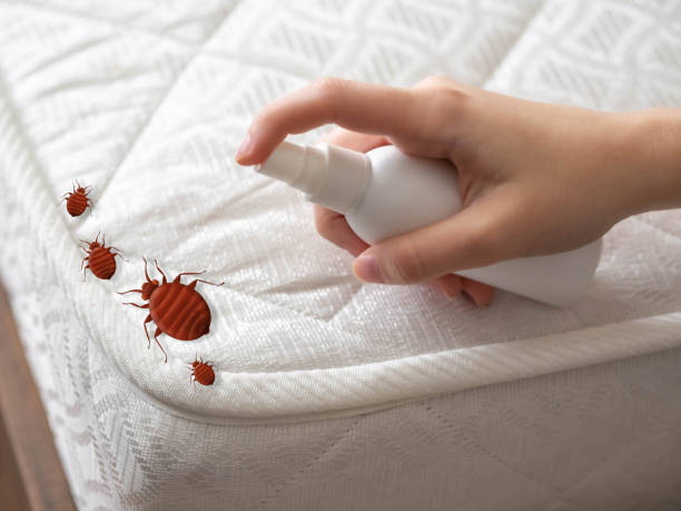 Best Bed Bug Extermination  in Lakeview, GA